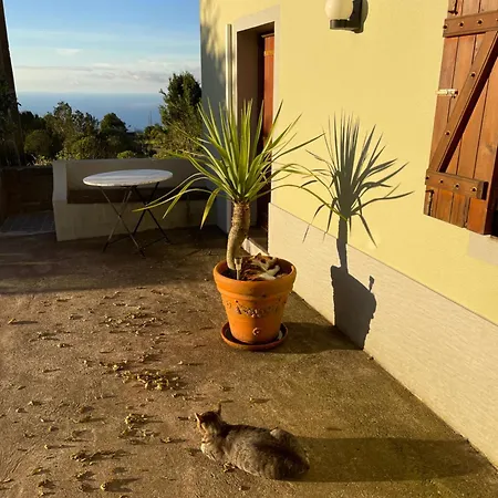 Achadas Nature Achadas da Cruz