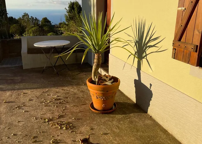 Achadas Nature Achadas da Cruz